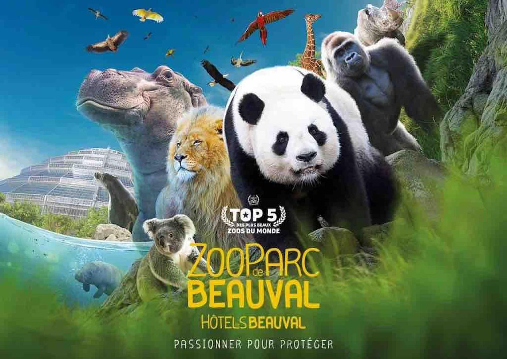 Duplex Charmant Au Coeur De Levroux Zewnętrze zdjęcie
